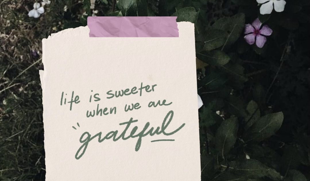Embracing Gratitude:A Year of Finding Grace in the Details